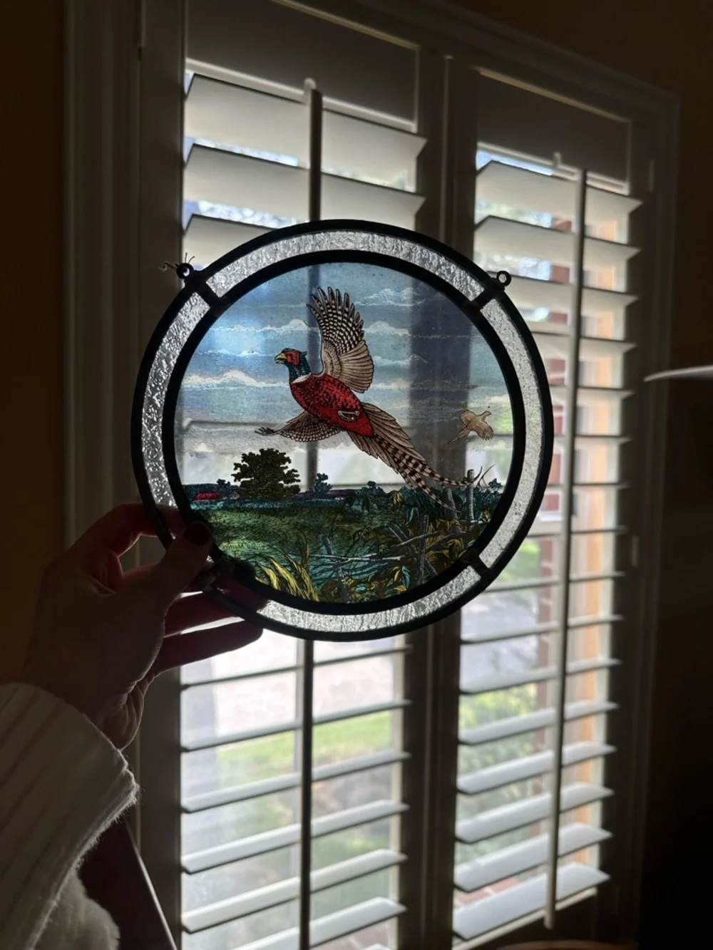 Vintage Sun Catcher Pheasant Bird